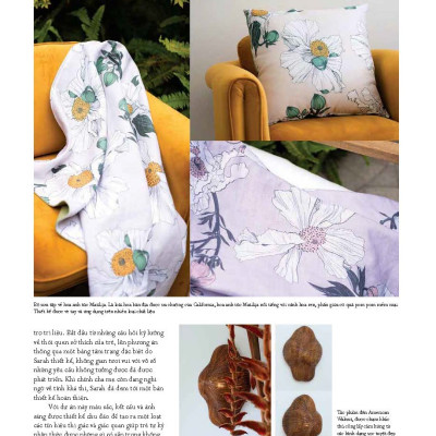 Tạp chí Kiến Trúc và Đời Sống số 229 (Tháng 7-2025)-Làm nhà mùa mưa