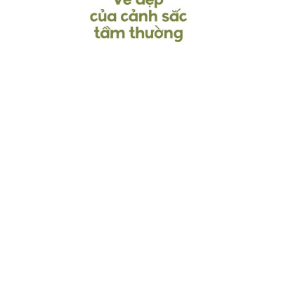 Vẻ Đẹp Của Cảnh Sắc Tầm Thường - Hay Vì Sao Chúng Ta Cần Thay Đổi Cách Thưởng Thức Thiên Nhiên?