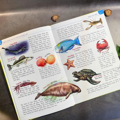 Sách - Combo 2 quyển Từ Điển Anh - Việt - My First 1000 Words + Bách khoa thư về thế giới động vật ( Bìa Cứng) (VT-MK)