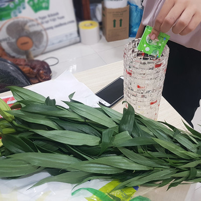Combo 5 Hộp DINH DƯỠNG HOA CẮT CÀNH (Food for Cut Flowers)(1 hộp 10 gói 5gr). Giúp hoa cắt cành tươi lâu và 14 ngày không thay nước mới. Giải pháp tối ưu theo công nghệ Israel