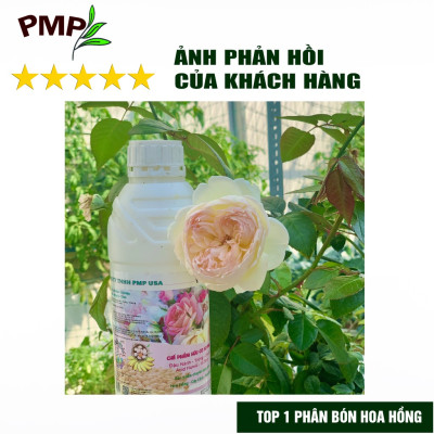 Combo 2 Chai Phân SOYMIC PMP Siêu Phân Bón Ủ Vi Sinh Từ Đậu Nành, Trứng, Chuối, Vi Lượng Cho Hoa Hồng, Rau Sạch