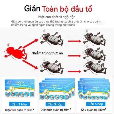 Combo 5 hộp thuốc diệt gián sinh học Housheng, diệt tận gốc tất cả các loại gián, hiệu quả, an toàn.