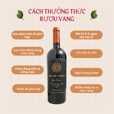 Rượu vang Sol de Chile Cabernet Sauvignon - Syrah Gran Reserva 