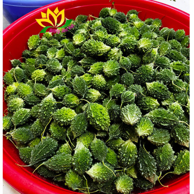 TRÀ TRÁI KHỔ QUA RỪNG HŨ 120G - HƯƠNG SEN VIỆT