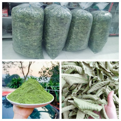Lá ổi khô  - Sản phẩm hữ cơ tự nhiên gói 1kg