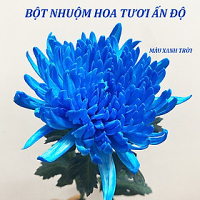 BỘT NHUỘM HOA NHẬP KHẨU ẤN ĐỘ (HỦ 110GR pha 12L nước nhuộm hoa tươi) gồm 8 màu cơ bản