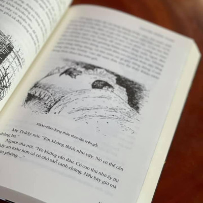 CHUYỆN RỪNG XANH (Bìa mềm)