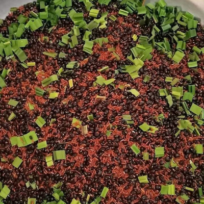 Trà Thảo Mộc Gạo Lứt Đậu Đen DTFood