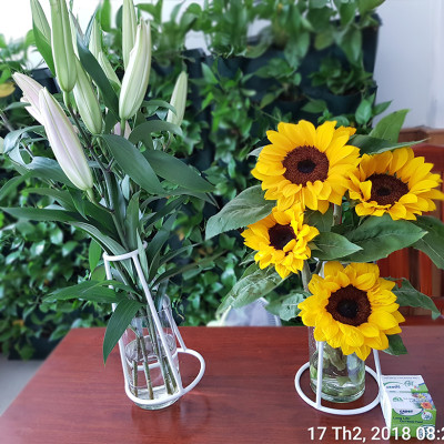  (COMBO 30 GÓI) GÓI DƯỠNG HOA TƯƠI LONGLIFE CỦA ISRAEL GIỮ HOA TƯƠI LÂU GẤP 2 LẦN VÀ 14 NGÀY KHÔNG THAY NƯỚC MỚI