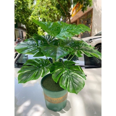 Cây trầu bà giả - 12 lá - cao 60cm - Cây giả, hoa lụa trang trí nhà cửa