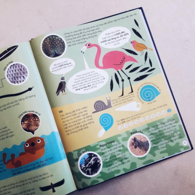 Sách Vũ trụ qua lăng kính số - The big countdown (Bìa cứng) - Nhã Nam - BẢN QUYỀN