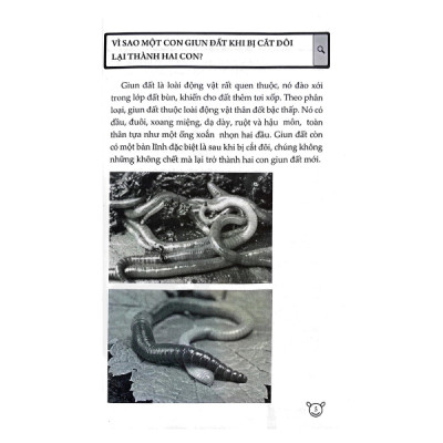 10 Vạn Câu Hỏi Vì Sao (HH)