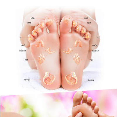 Máy mát xa chân và bắp chân 6D aYosun TG - 740Premium Chính Hãng