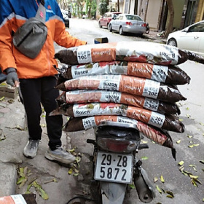 5 bao Đất trồng ( giá thể) hoa hồng Jardino Rose nhập khẩu Hà Lan 20L