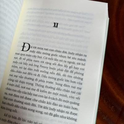 JODY VÀ CHÚ NAI CON – Marjorie Kinnan Rawlings – Nhật Phi dịch – Huy Hoàng – NXB Văn học