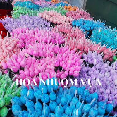 Nước Màu Nhuộm Hoa Tươi Màu Cam Israel (Chai 1 Lít) Color Sodium For Fresh Flowers