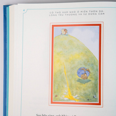 Sách - Cô thỏ xám nhỏ ở miền thôn dã trọn bộ 2 tập - Đinh Tị Books