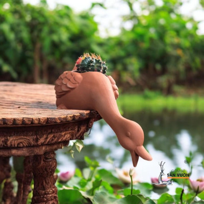 Tiểu Cảnh Thủy Cảnh Đất Nung Hình Vịt Phun Nước Hồ Cá