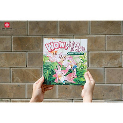 Sách - Wow, Thì Ra Là Thế - Đinh Tị Books