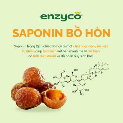 Combo 2 chai nước lau sàn sinh học ENZYCO 2L - Chiết xuất Bồ hòn và Enzyme Dứa