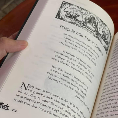 CHUYỆN RỪNG XANH (Bìa mềm)