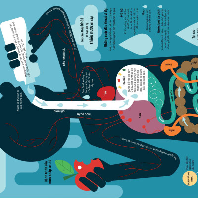 Tớ Yêu Khoa Học - The Adventure Of Water - Chuyến Phiêu Lưu Của Nước