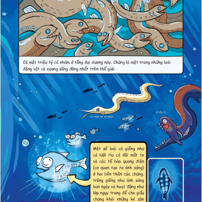 Siêu Nhí Khám Phá Đại Dương