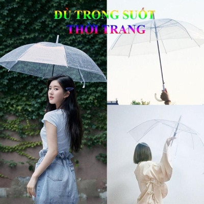 Ô Che Mưa Trong Suốt Độc Đáo