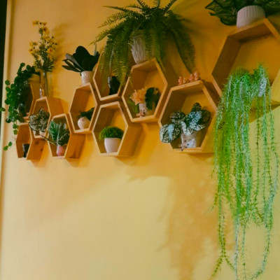 Cụm lá rủ giả - Dây leo trang trí - dài 40cm đến 80cm - Cây giả, hoa lụa Decor trang trí nhà cửa