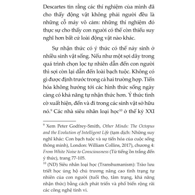 Mèo Và Triết Lý Nhân Sinh