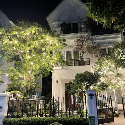 COMBO 5 Bóng đèn LED bulb tròn LEDGOES 3W