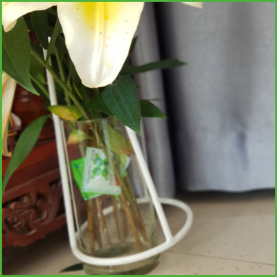 Chăm sóc hoa lâu tàn bằng bột dưỡng cho hoa cắt cành nhập khẩu Israel (Set 50 gói) giữ hoa lâu tàn gấp 2 lần bình thường và 14 ngày không thay nước mới