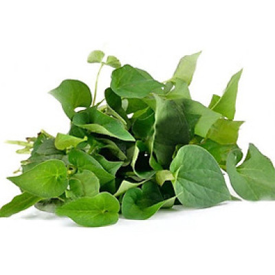 RAU DIẾP CÁ HẬU GIANG 100G