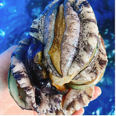 BÀO NGƯ HÀN QUỐC SỐNG BƠI HỒ (1 CON)