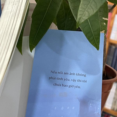 Tình yêu ở thành phố lớn (Love in the big city) (Nhã Nam HCM)