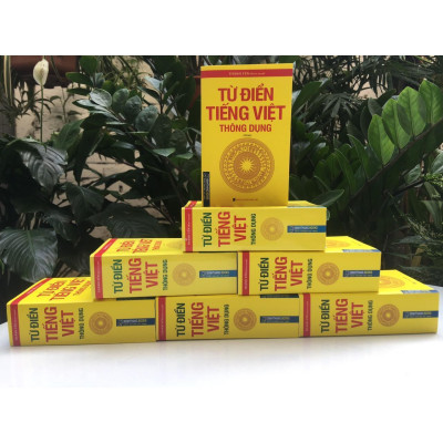 Sách - Từ Điển Tiếng Việt Thông Dụng - Bản Nhỏ - Minh Thắng