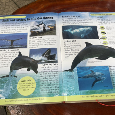 [BÁCH KHOA CHO TRẺ EM] – BÁCH KHOA ĐỘNG VẬT – MỞ MANG KIẾN THỨC KHƠI DẬY TIỀM NĂNG– tủ sách DK – Đông A – Bìa Cứng in màu toàn bộ