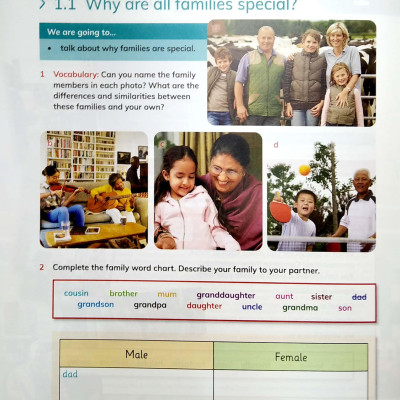 Cambridge Global English Learner