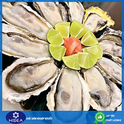Hàu sữa Nhật Hyogo ( Size :9-10 con). - 1kg