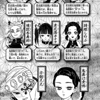 鬼滅の刃 9 - ONI METSU NO HA 9