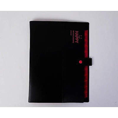 Cá Chép - Bìa Đựng Hồ Sơ - Nhiều Màu