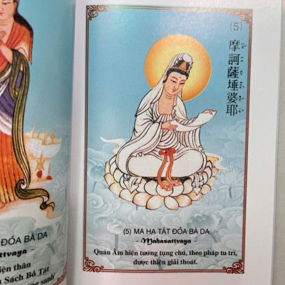 Sách - Kinh Đại Bi Tâm Đà Ra Ni (tranh màu )