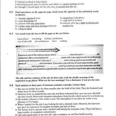 English Vocabulary in Use: Vocabulary Reference and Practice (CD-ROM)