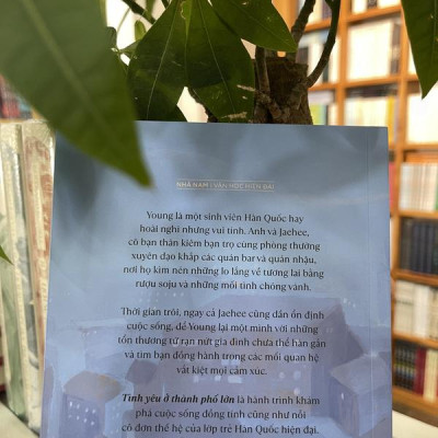 Tình yêu ở thành phố lớn (Love in the big city) (Nhã Nam HCM)