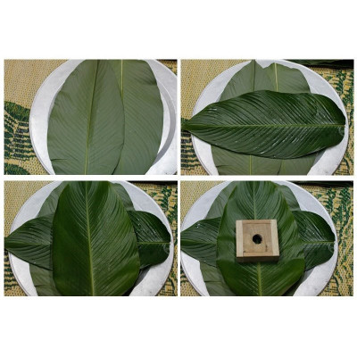 Bộ Khuôn Gỗ Gói Bánh Chưng Thành Cao Tạo Bánh Dày Dặn Đủ Kích Thước