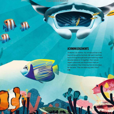 Amazing Animals: 100+ Creatures That Will Boggle Your Mind