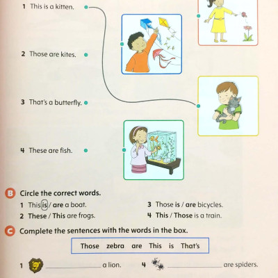 Oxford Discover 2nd Edition: Level 1: Grammar Book