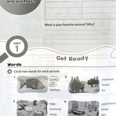 Oxford Discover: Level 2: Workbook With Online Practice - 2nd Edition