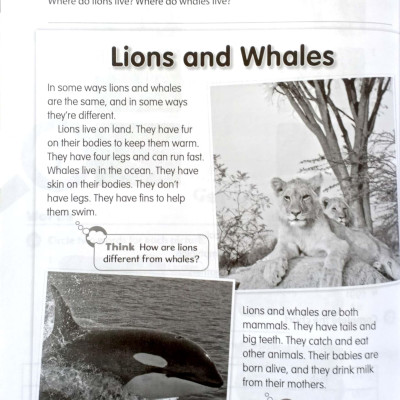 Oxford Discover: Level 2: Workbook With Online Practice - 2nd Edition