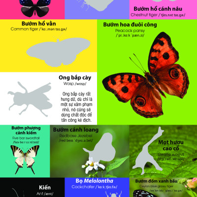 Dán Hình Nhận Biết Động Vật - Chim Và Côn Trùng (Song Ngữ Việt-Anh)